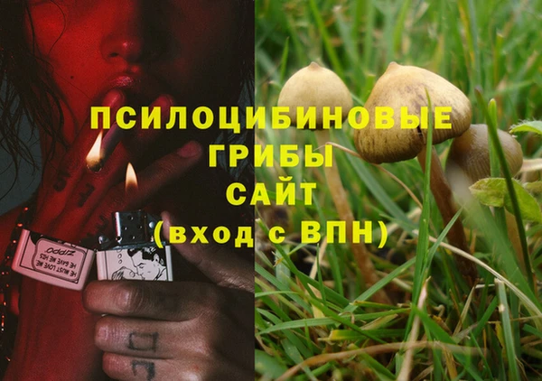 наркотики Абаза