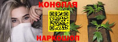 эйфоретик Шахты