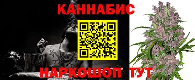 шишки Шебекино