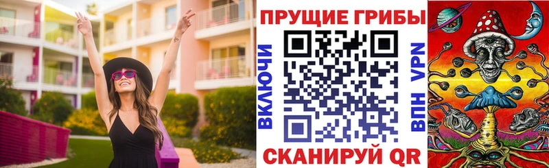 наркотики  Морозовск  Галлюциногенные грибы Cubensis 