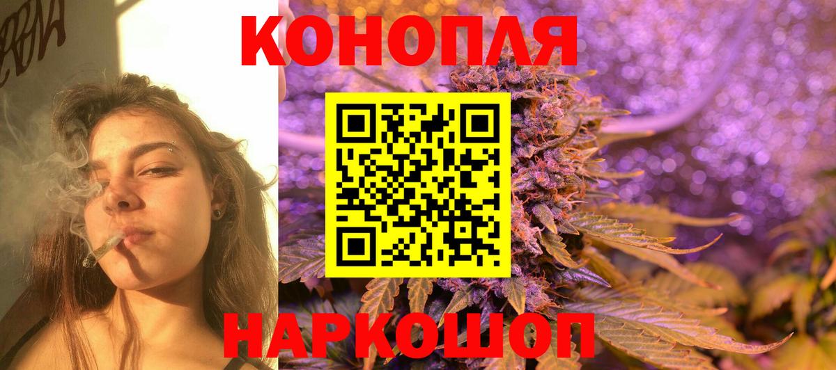 Конопля сатива Морозовск